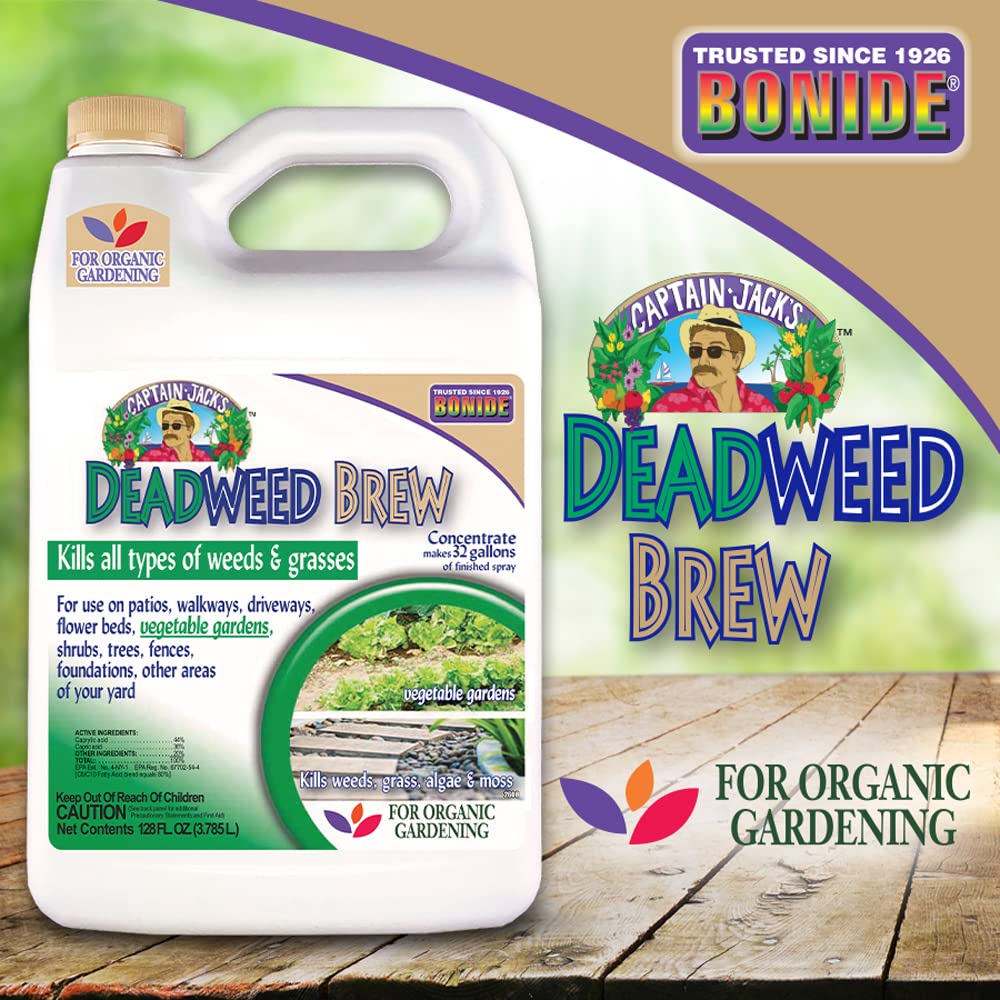 Bonide Captain Jack's Deadweed Brew controlling weeds and grasses in a lawn.