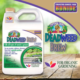 Bonide Captain Jack's Deadweed Brew controlling weeds and grasses in a lawn.