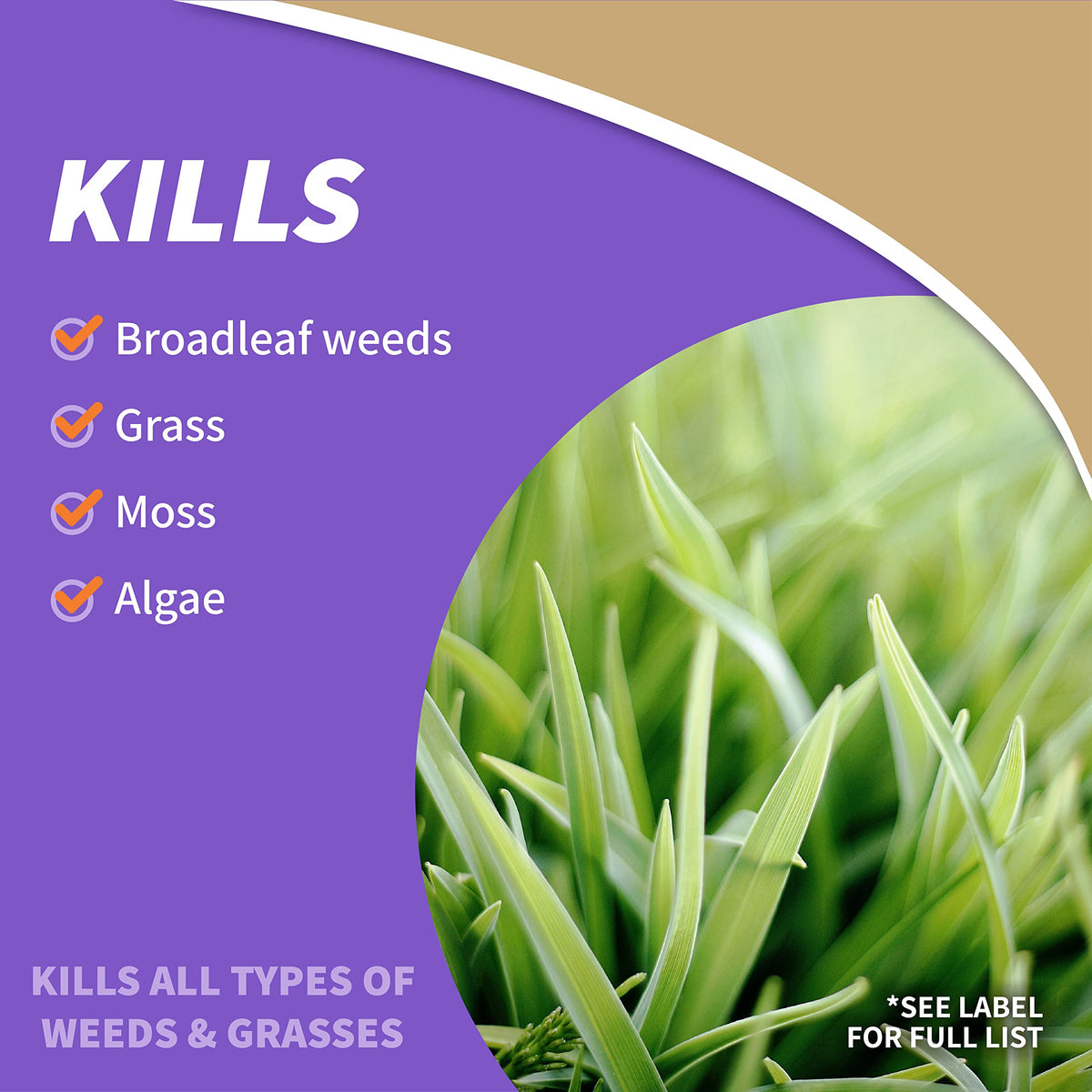 Bonide Captain Jack's Deadweed Brew weed killer action delivers rapid results.