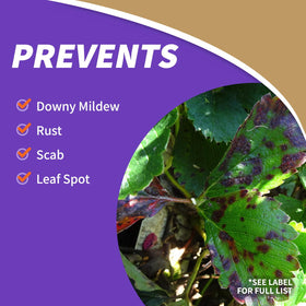 Bonide Captain Jack's Fruit Tree Spray label close-up showing organic gardening approval.