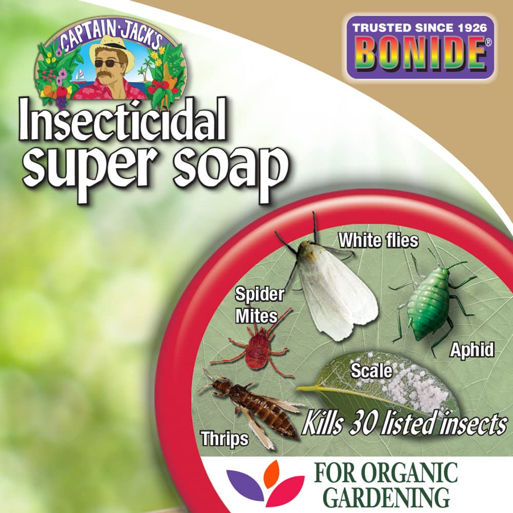 Bonide Captain Jack's Super Soap addressing powdery mildew on leaves.