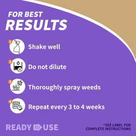 Spray-on application on a lawn scene targets weeds without harming grass