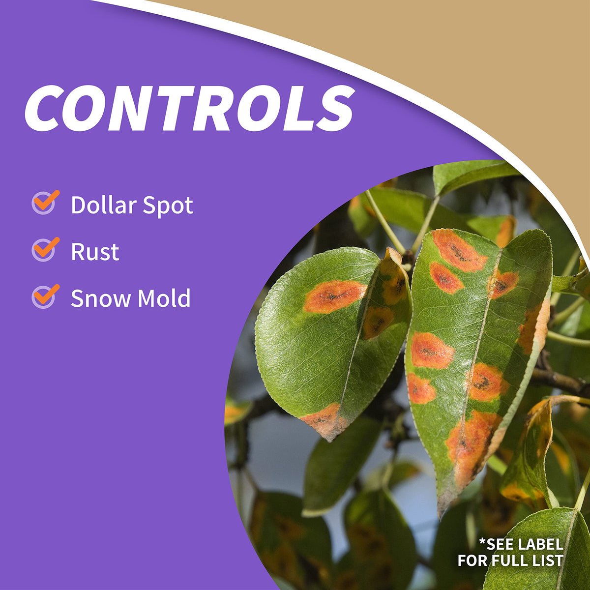Nozzle in action demonstrates quick treatment of moss and weeds