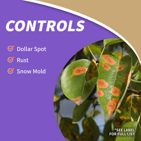 Nozzle in action demonstrates quick treatment of moss and weeds