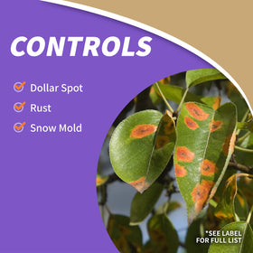 Bonide Captain Jack's Lawnweed Brew targets common lawn weeds with iron derived action