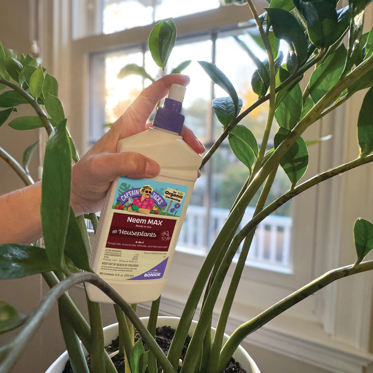 Aphids on leaves treated with Neem Max for home gardens.