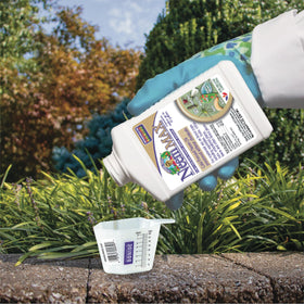 Fruit trees treated with Neem Max for natural pest protection.