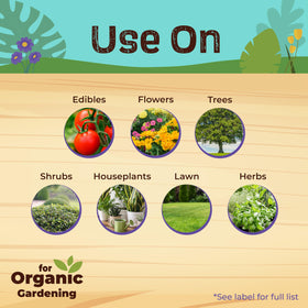 Applying Neem Max to roses demonstrates 4-in-1 protection against pests and diseases.