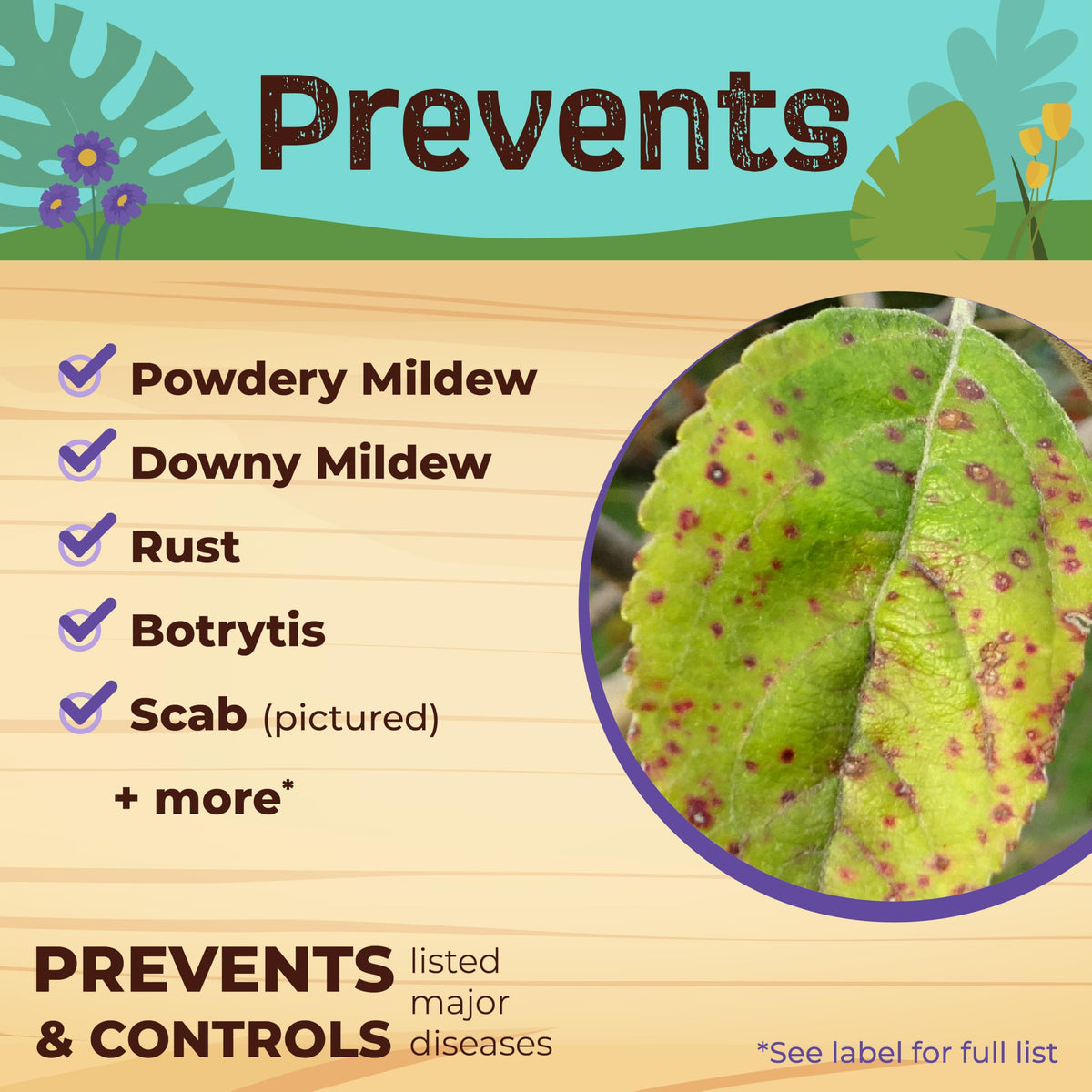 Bonide Captain Jack's Neem Max organic gardening label promotes pest prevention.