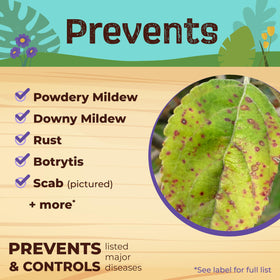 Bonide Captain Jack's Neem Max organic gardening label promotes pest prevention.