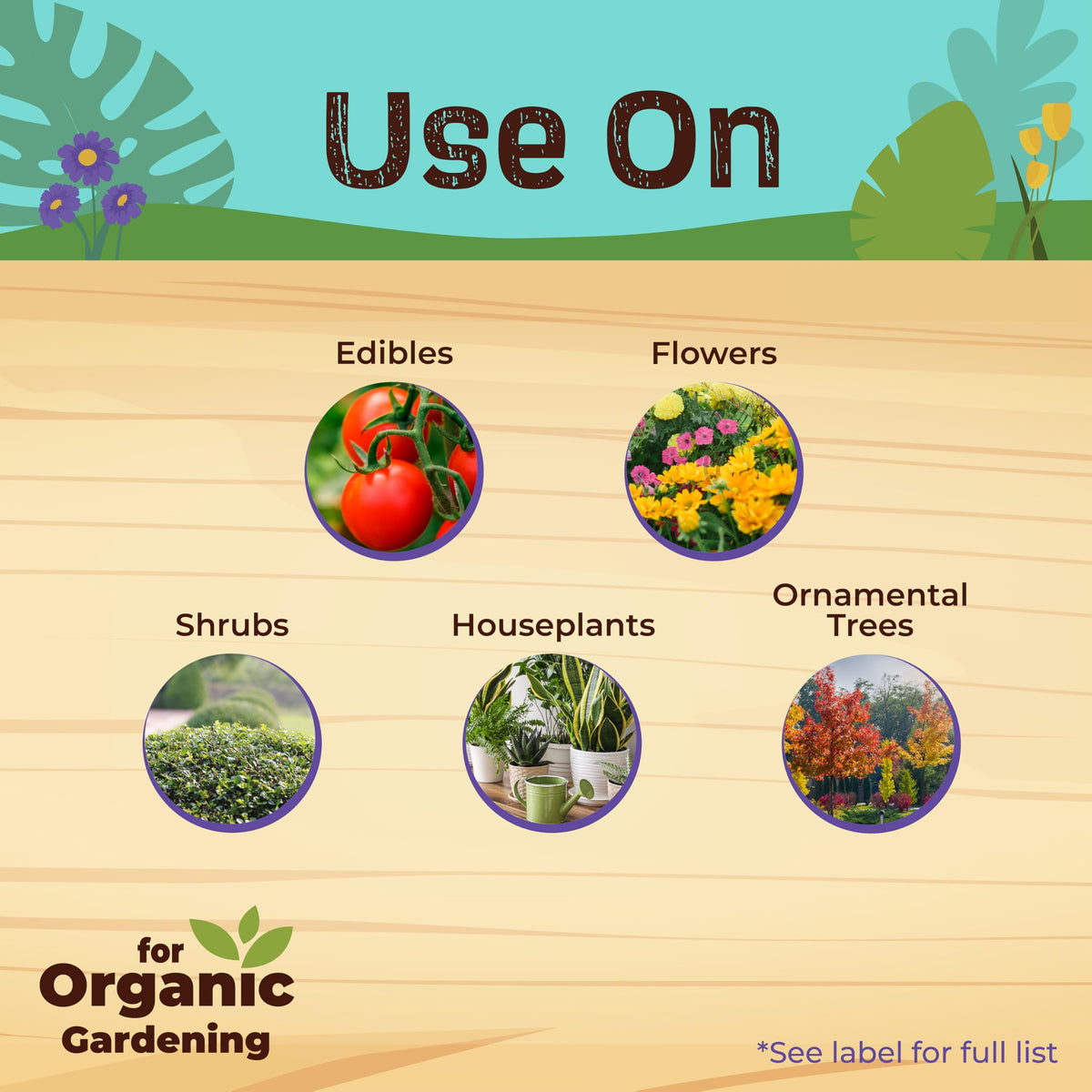 Bonide Captain Jack's Neem Oil application on plants delivers fungi and pest defense.