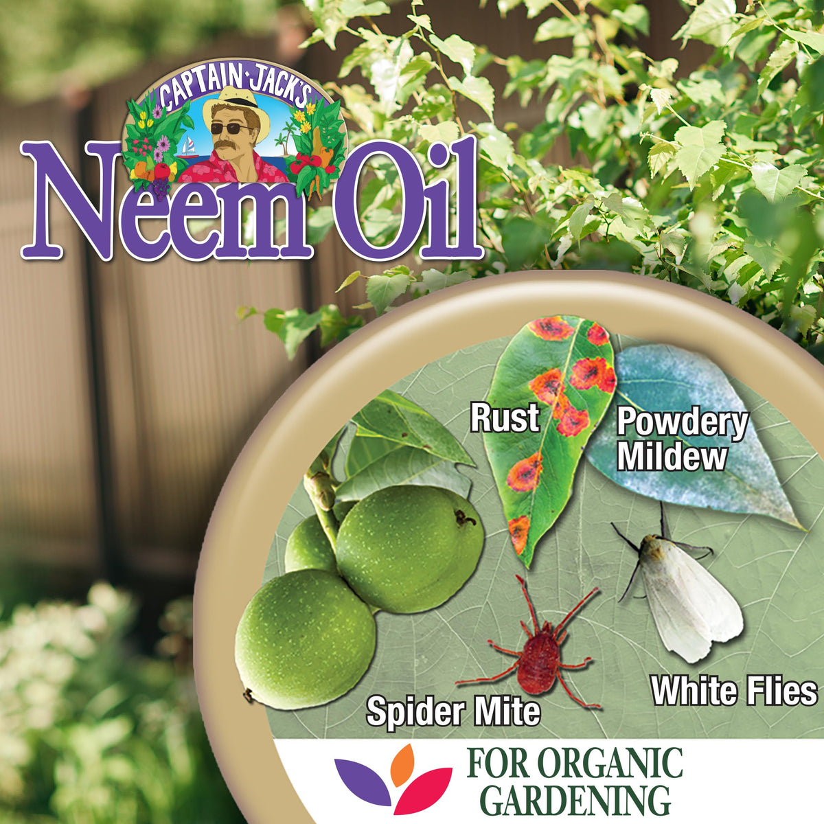 Bonide Captain Jack's Neem Oil for indoor houseplants protection against mites.