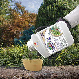 Bonide Captain Jack's Neem Oil safe for vegetables and herbs when used as directed.