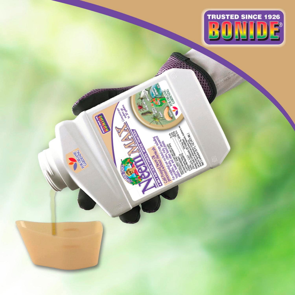 Application of NeemMax to prevent mildew on flowering plants.