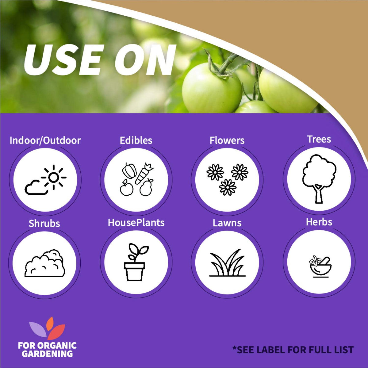 Spray action on rose leaves to deter pests and diseases.