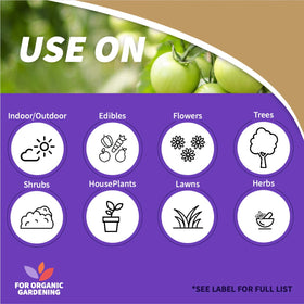 Spray action on rose leaves to deter pests and diseases.