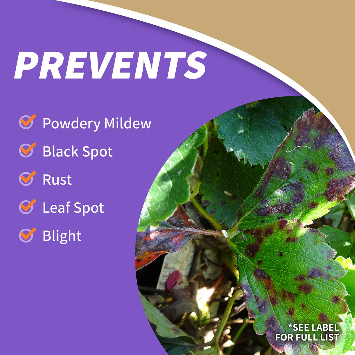 Bonide Captain Jack's Orchard Spray targets beetles and other garden pests.