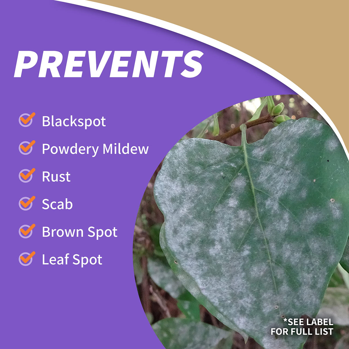 Bonide Captain Jack's ready-to-use nozzle sprays undersides of leaves for thorough protection
