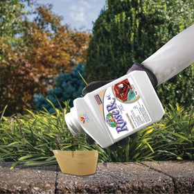 Rose Rx supports organic gardening with neem-based disease and pest control.