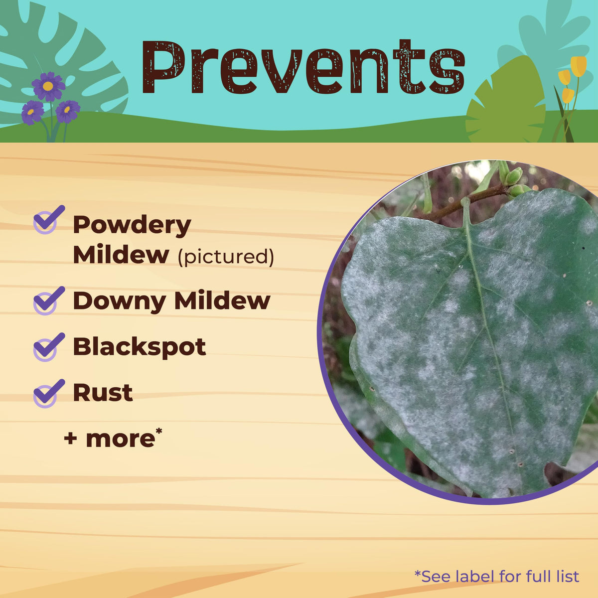 Rose Rx application as foliar spray or soil drench for versatile protection.