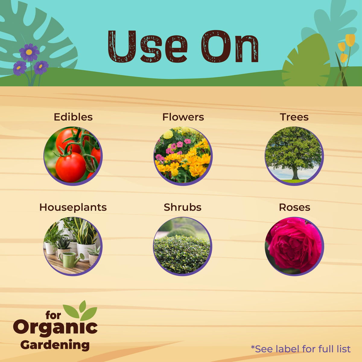 Bonide Captain Jack's Rose Rx ready-to-mix concentrate for easy garden application.