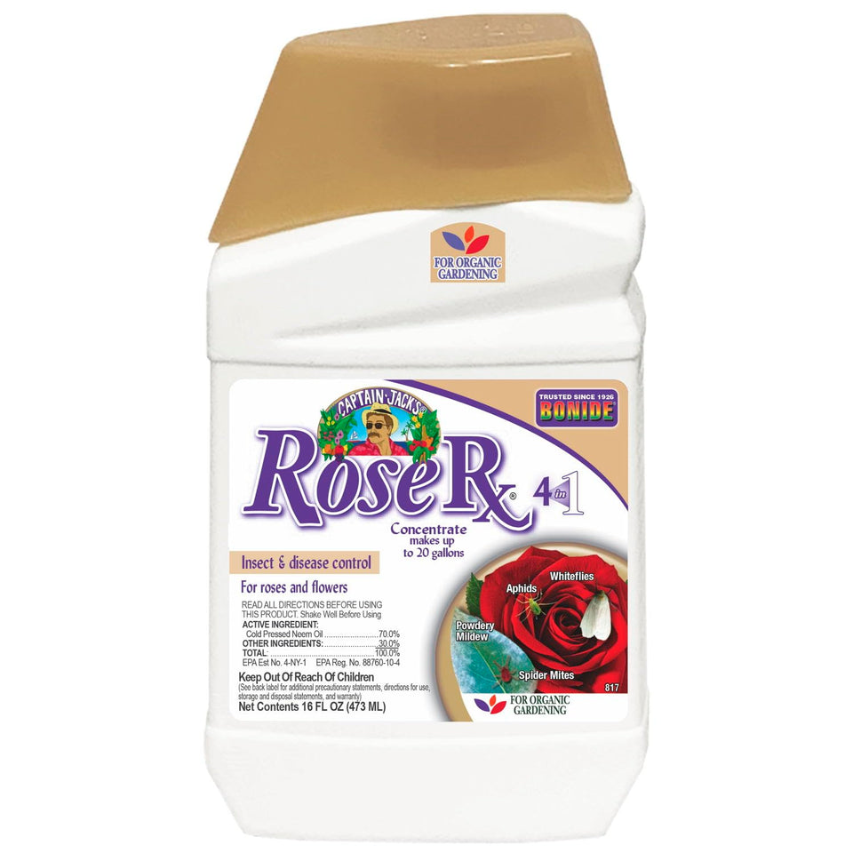 Bonide Captain Jack's Rose Rx spray bottle protecting roses and ornamentals from pests.