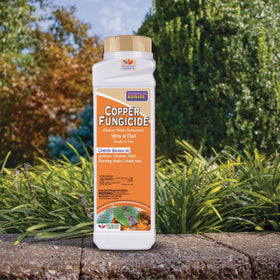Bonide Copper Fungicide dust-application on soil surface to control powdery mildew