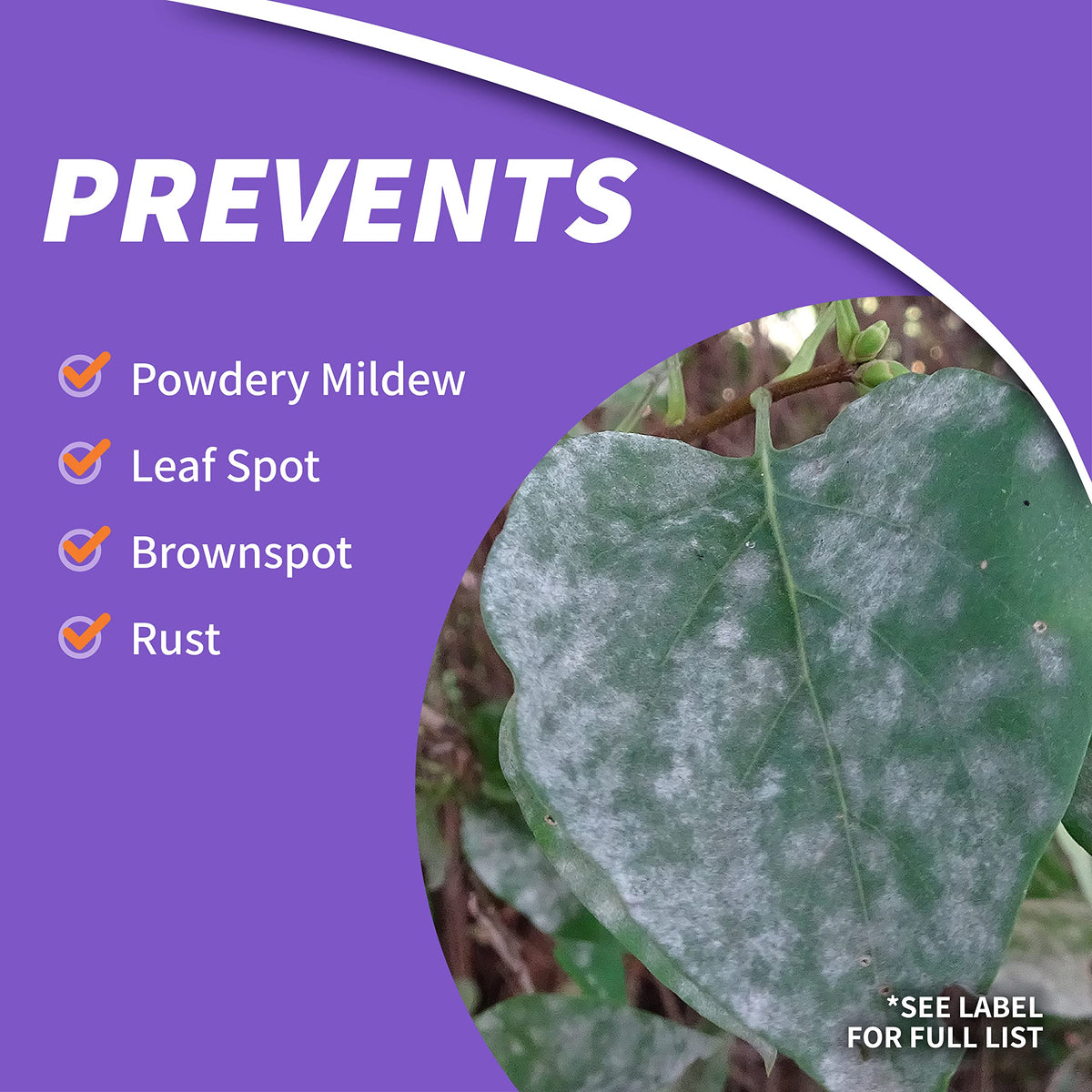 Close-up of the Bonide Fruit Tree & Plant Guard label on the concentrate