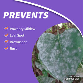 Close-up of the Bonide Fruit Tree & Plant Guard label on the concentrate