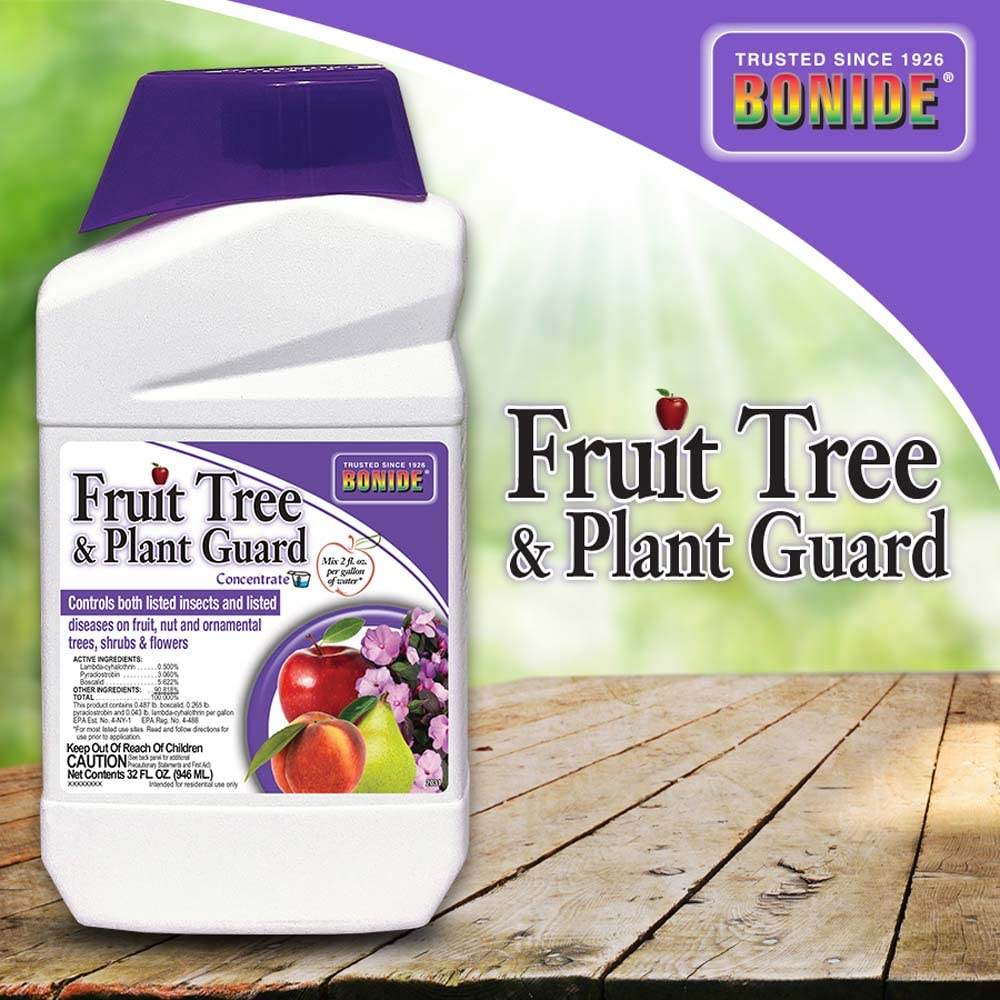 Healthy fruit trees after Bonide guard treatment in a backyard orchard