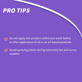 Bonide Fung-onil label highlights broad-spectrum disease control for garden plants.