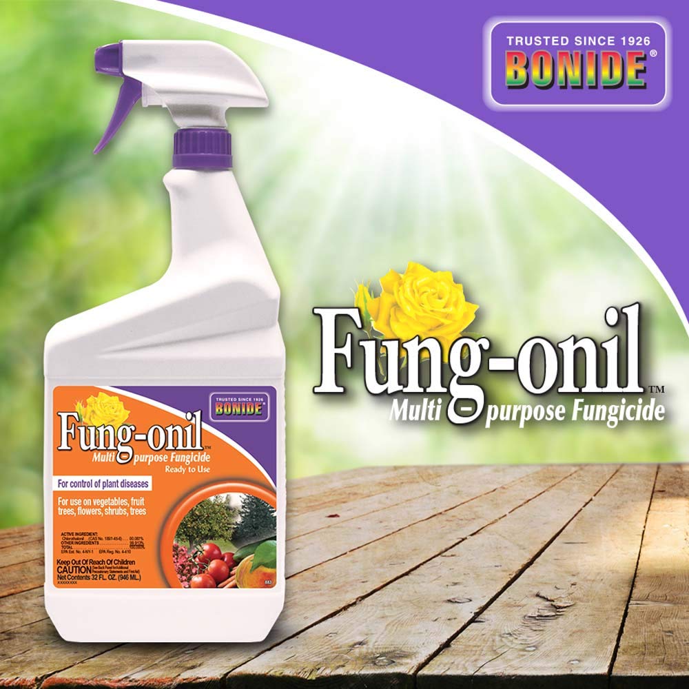 Bonide Fung-onil is ready-to-use for beans, trees, shrubs, and more.