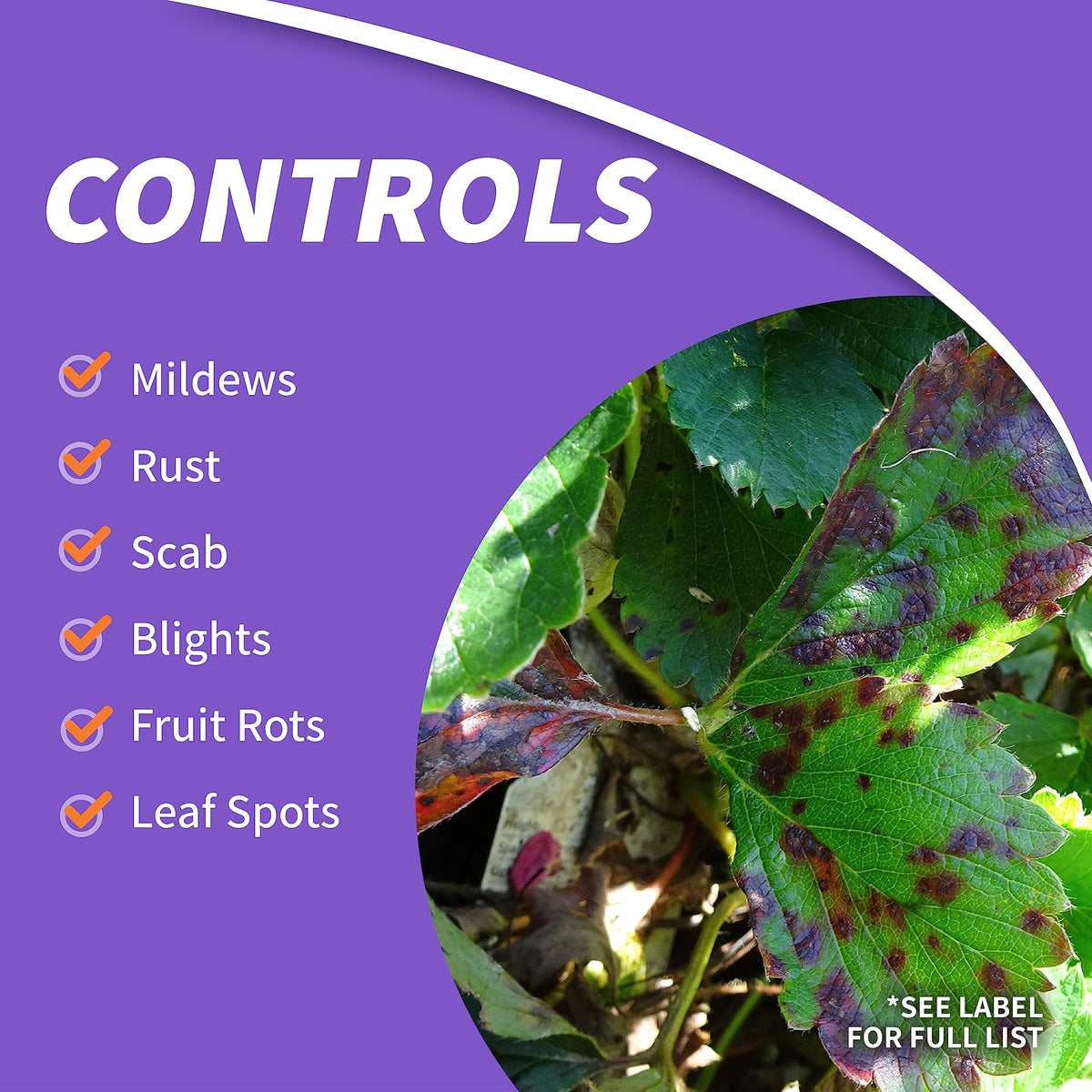 Bonide Fung-onil mixing with water shown for effective dilution and ready-use spray.