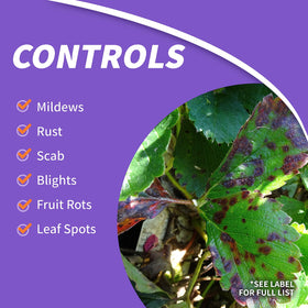 Bonide Fung-onil mixing with water shown for effective dilution and ready-use spray.