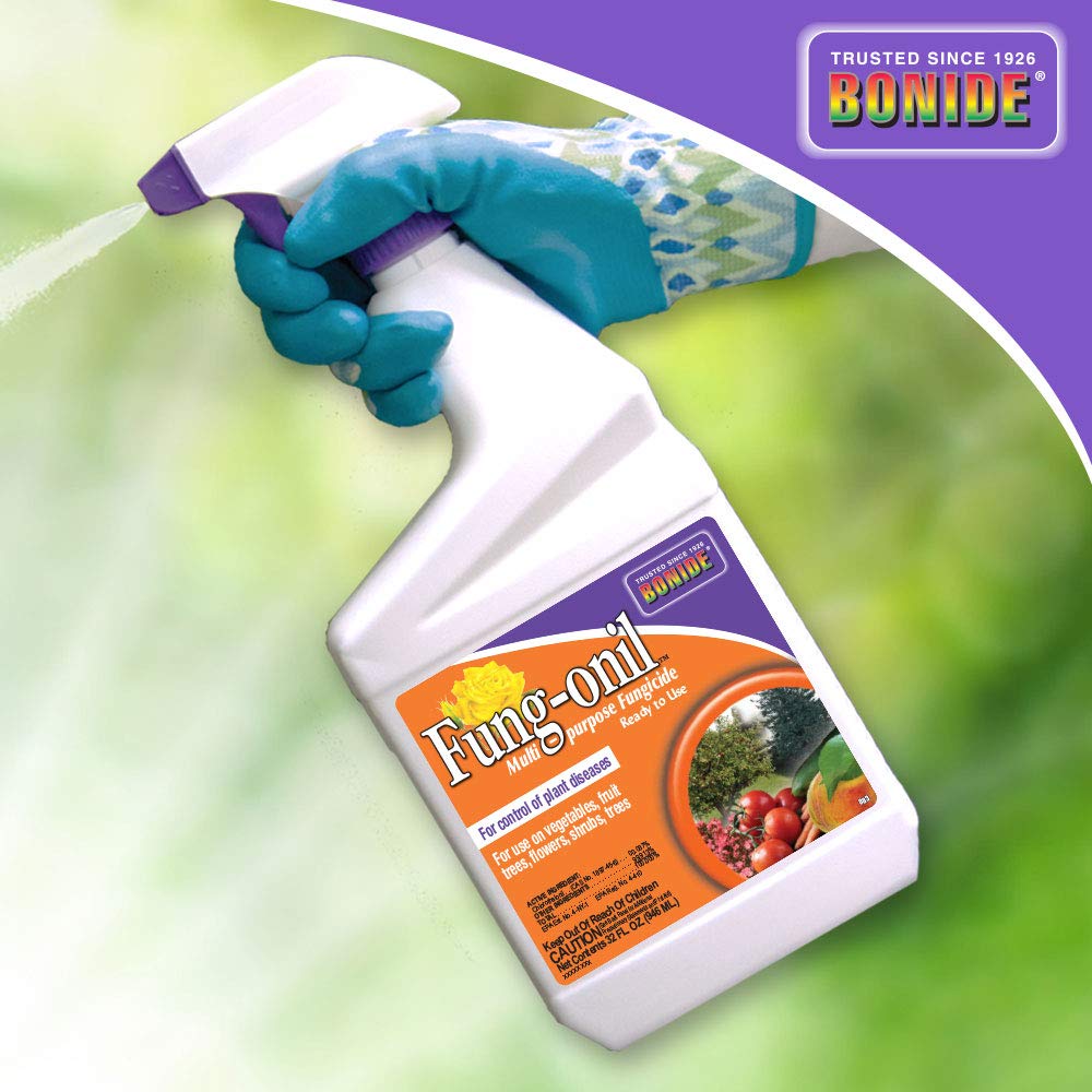 Bonide Fung-onil spray helps treat affected plants without any mixing.