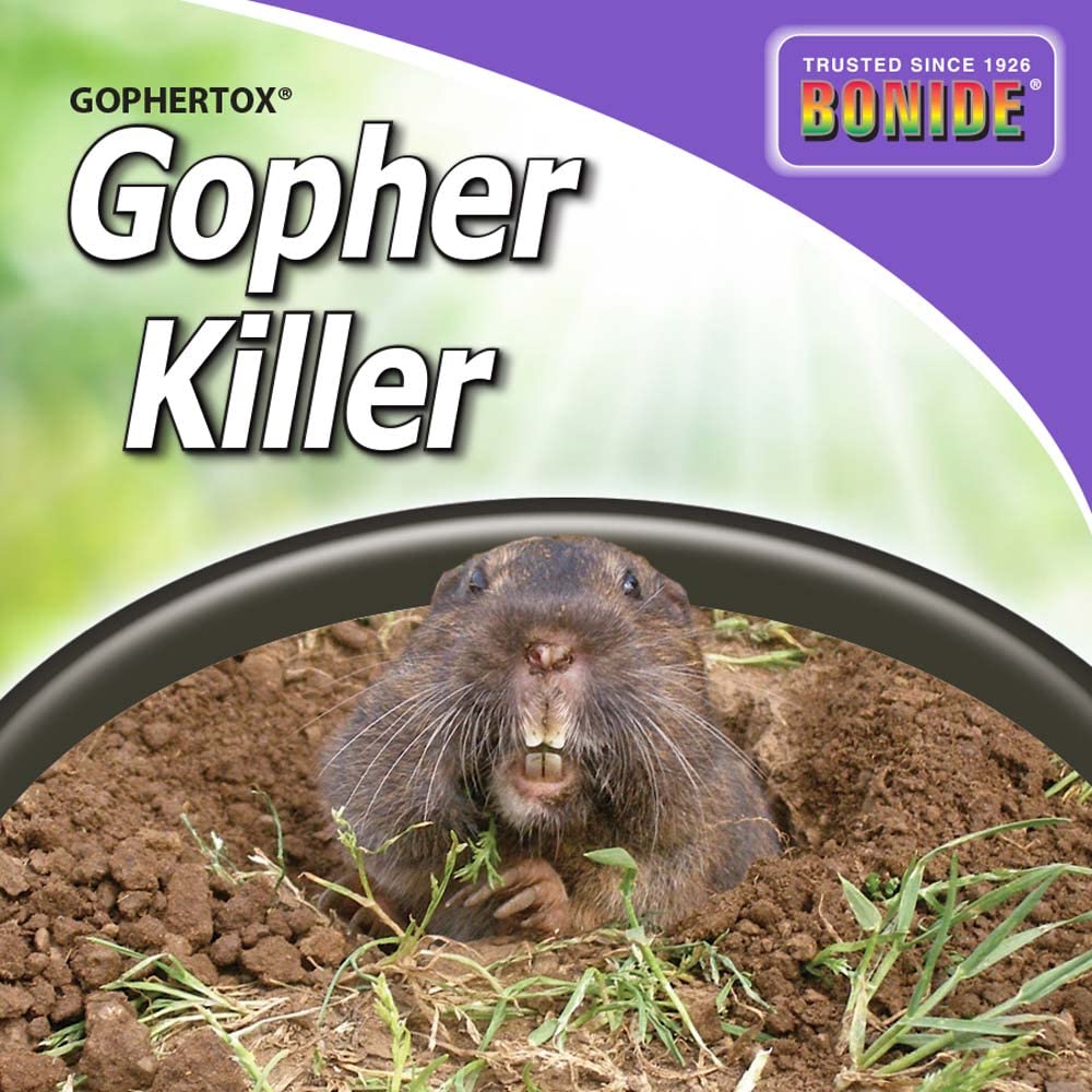 Bonide Gophertox burrow entry with treated bait nearby