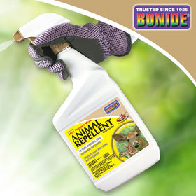 Bonide Hot Pepper Wax applied on ornamental shrubs for protection
