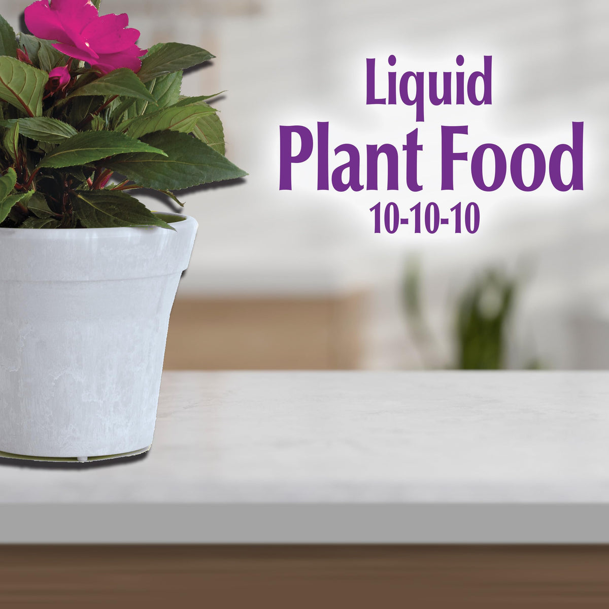 Lush indoor greenery after feeding with Bonide liquid plant food.