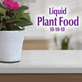 Lush indoor greenery after feeding with Bonide liquid plant food.