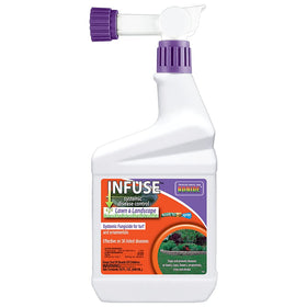 Bonide Infuse Systemic Disease Control bottle ready to spray protecting lawns and ornamentals.