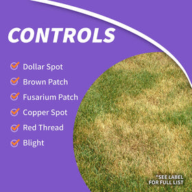 Bonide Infuse hand spreading granules demonstrating convenient lawn treatment