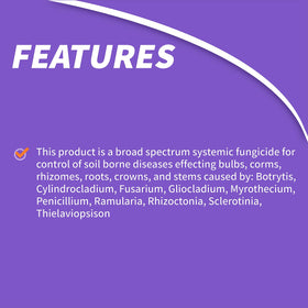 Bonide Infuse turf color and rooting image implying stronger turf and shrub color