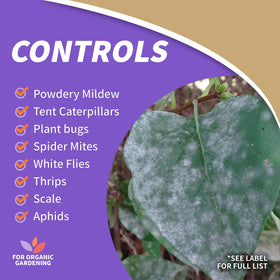 Bonide Insecticidal Soap in a home garden ready for use