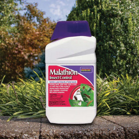 Malathion concentrate being diluted with water for application