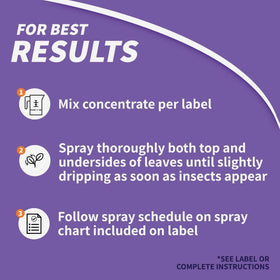 Outdoor spray application of Bonide Malathion on garden plants