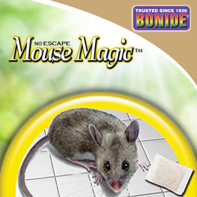 Bonide Mouse Magic Scent Pack on outdoor deck helps keep living spaces rodent-free while remaining pet-friendly