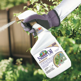 Bonide Neem Oil spray nozzle in action for quick garden applications