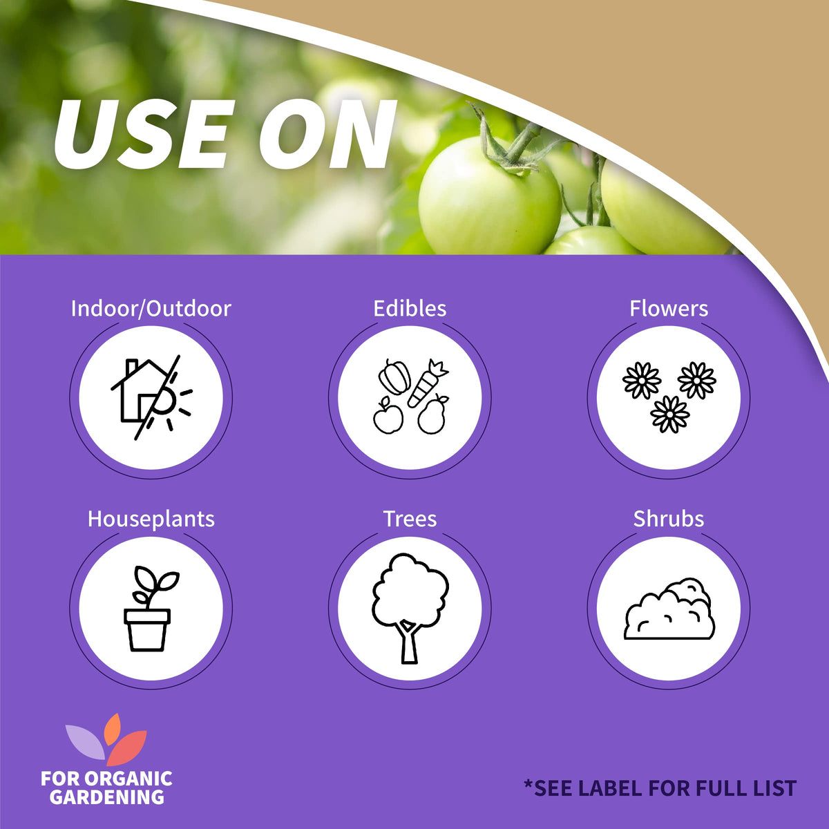 Rose and flower care with Bonide Neem Oil for broad pest protection