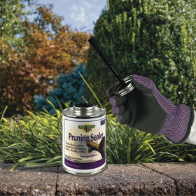 Bonide Pruning Sealer suitable for trees and shrubs including roses