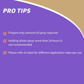 Even coverage from Bonide spray applicator on plant leaves.